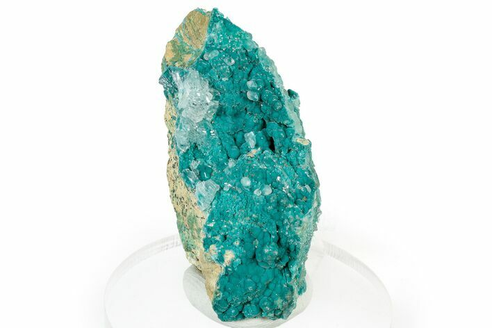 Botryoidal Blue Rosasite with Hemimorphite - Congo #306121